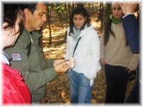 Micolgia en Rascafria